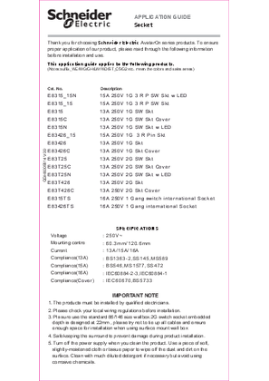 Image of AvatarON 13A 250V 1G SW Skt