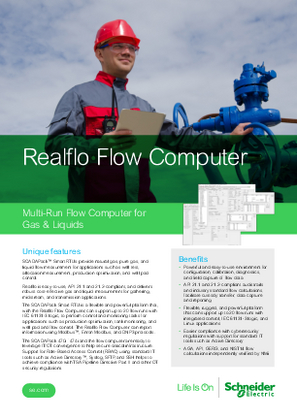 Obrázek Realflo Flow Computer Datasheet A4