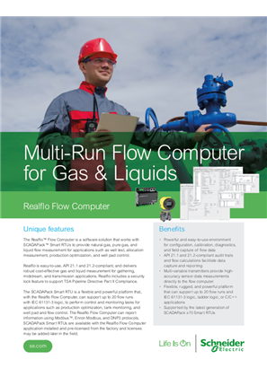 的映像 Realflo Flow Computer Datasheet Letter