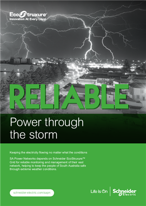 Obraz SAPN Case Study - Power through the Storm