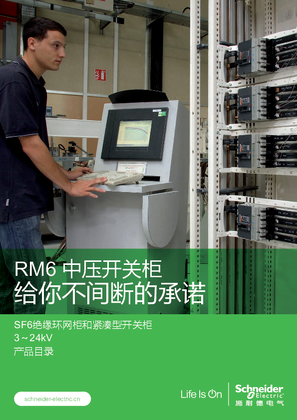 的映像 RM6SF6绝缘环网柜和紧凑性开关柜3~24kV 产品目录