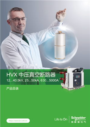 的映像 HVX 系列 中压真空断路器产品目录