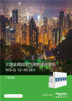 的映像 WS-G 12-40.5kV 气体绝缘开关柜 中文产品目录