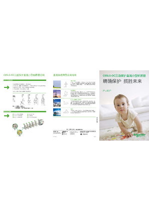 的映像 C65LS-DC三段保护直流小型断路器 产品简介