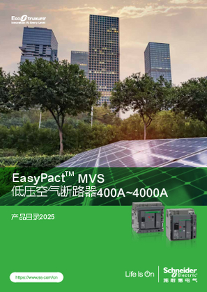 的映像 EasyPact MVS 低压空气断路器和隔离开关 400A-4000A 产品目录