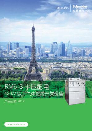 的映像 RM6-S/RM6-S Plus 中压配电 产品目录