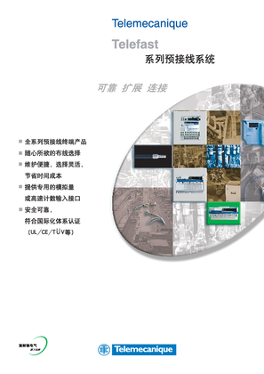 的映像 Telemecanique Telefast系列预接线系统 可靠 扩展 连接