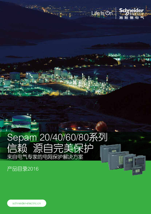 的映像 Sepam 20/40/60/80系列产品目录