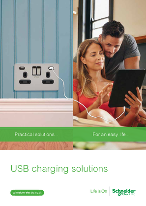 Image of USB Flyer