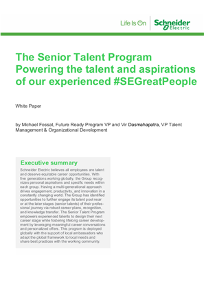 Image of Senior Talent Program at Schneider Electric