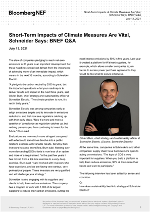 Imagem de Short-Term Impacts of Climate Measures Are Vital, Schneider Says: BNEF Q&A