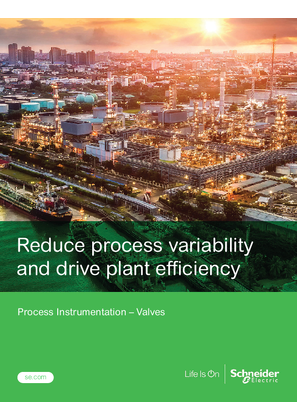 Image of Process Instrumentation Valve Brochure