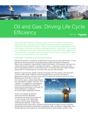 Product efficiency thesis 07 image