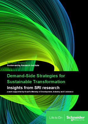 Image of Demand-Side Strategies for Sustainable Transformation
