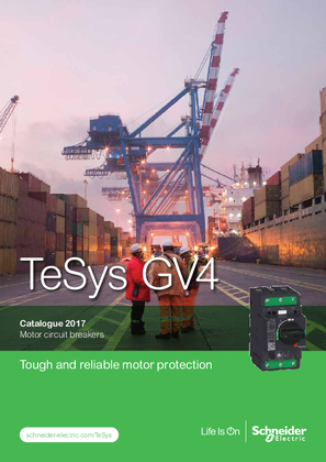 Image of TeSys GV4 Catalogue
