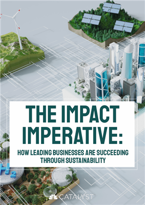 Image of The Impact Imperative: How leading businesses are succeeding through sustainability