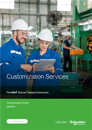 Bild von PanelSeT - Customization Services (English) - User guide