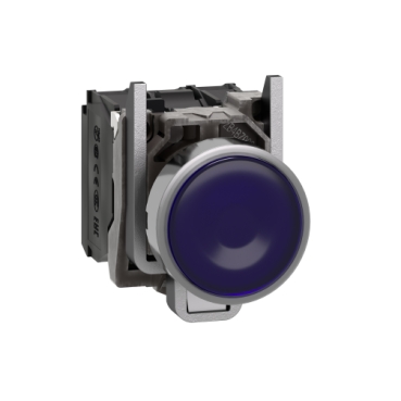 的映像 XB4BW36G5 中国 RoHS 法规