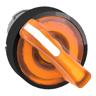 的映像 ZB4BK12537 REACh 声明