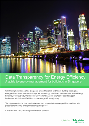 Image of Data Transparency for Energy Efficiency eGuide