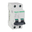 17592 Schneider Electric 图片