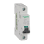 17775 Schneider Electric 图片