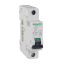17874 Schneider Electric 图片