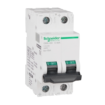 A9N22131 Schneider Electric 图片