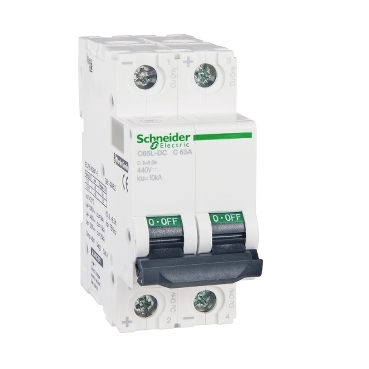 A9N22132 Schneider Electric 图片