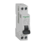 MGN911517 Schneider Electric 图片