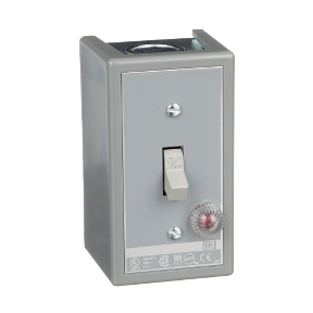 2510kg5b Manual Switch Nema 1 2p Toggle Operated