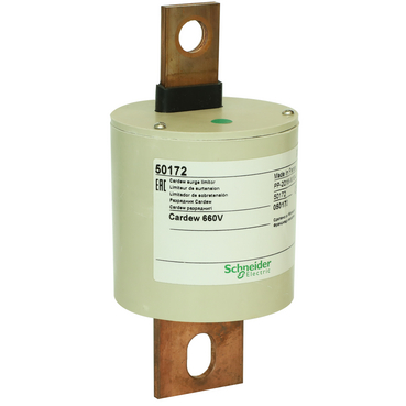 50172 Schneider Electric 图片