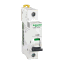 A9F17102 Schneider Electric 图片