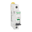 A9F17163 Schneider Electric 图片