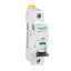 A9F18116 Schneider Electric 图片