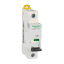 A9F19125 Schneider Electric 图片