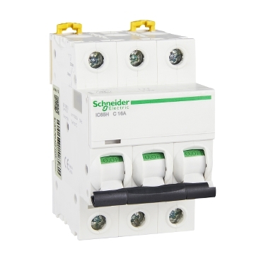 A9F28316 Schneider Electric 图片