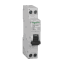 917356 Schneider Electric 图片