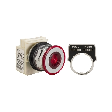 Schneider Electric 9001KR9P1R Picture