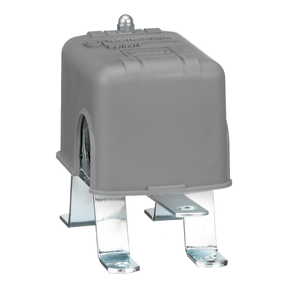 9036dg2 Float Switch Open Tank Nema 1 Pedestal