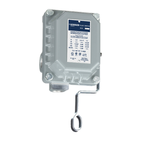 9036dw31 Float Switch Open Tank Nema 4 Pedestal Mounted