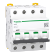 Schneider Electric A9F94463 Picture