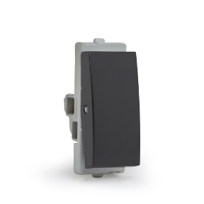 Opale Switch 1-Way 6A CG