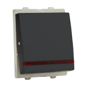 Opale Switch 1-Way 2 Module 16A CG with Indicator Lamp
