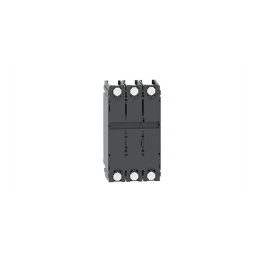 Afbeelding product C63S3TM500D Schneider Electric