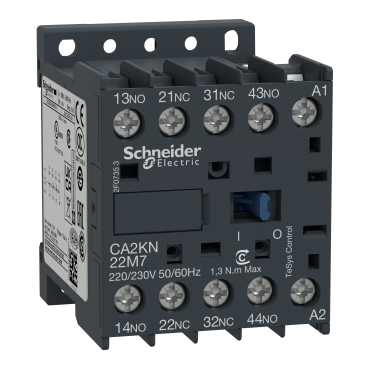 Schneider Electric CA2KN22M7 Picture