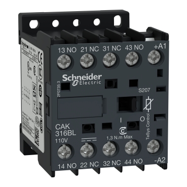 CAK316BLS207 Schneider Electric 图片