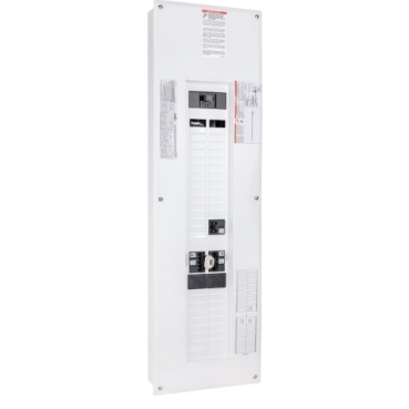 Schneider Electric CHGP605638100 Picture