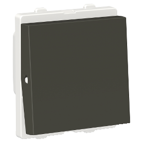 ClipsalX Switch 1-Way 10A 2 Modules, Coke Grey
