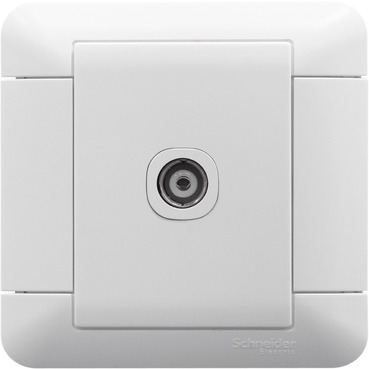 E8131TV Schneider Electric 图片